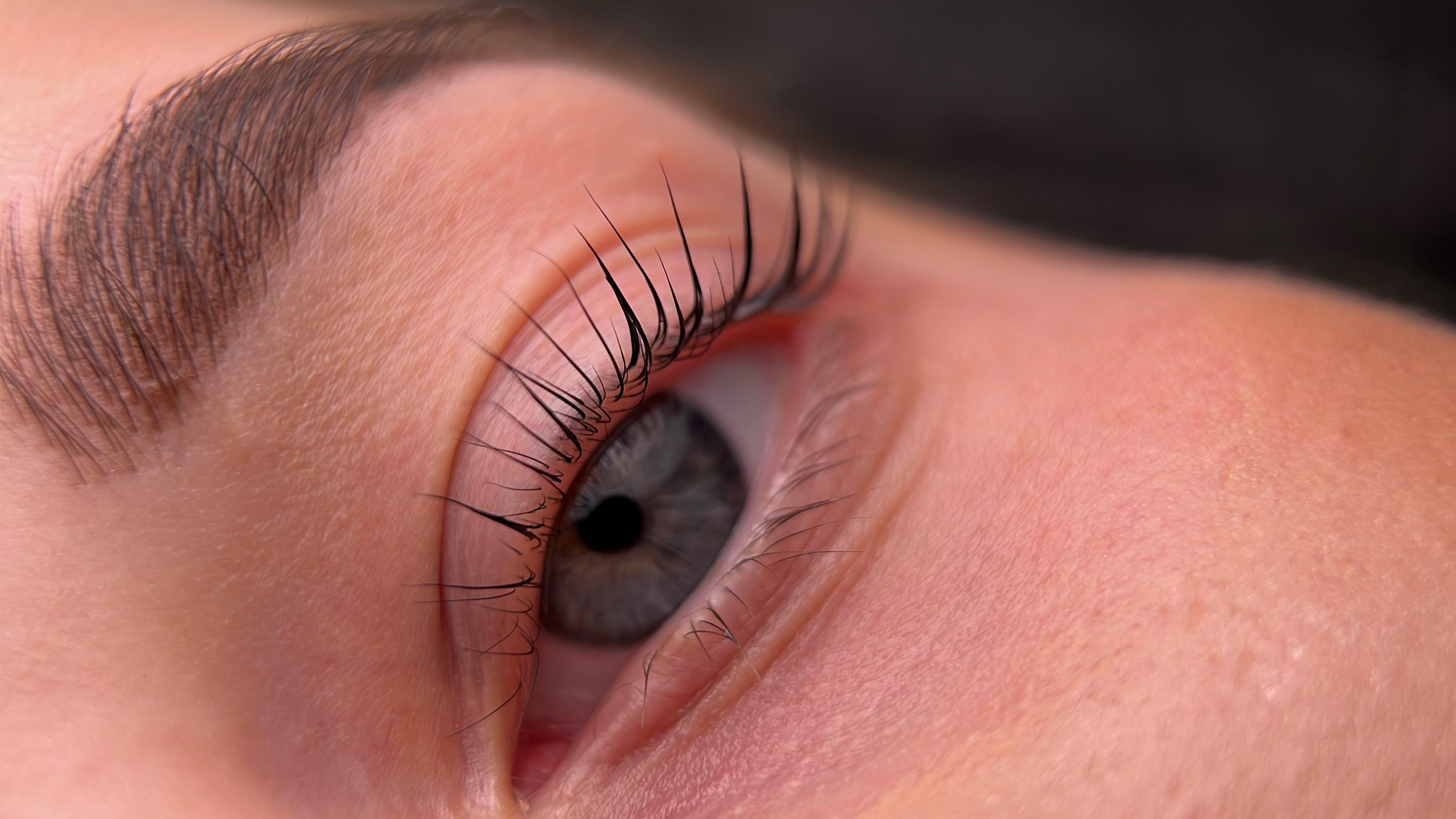 Close-up of a person's two blue-grey eye and brown eyebrows.