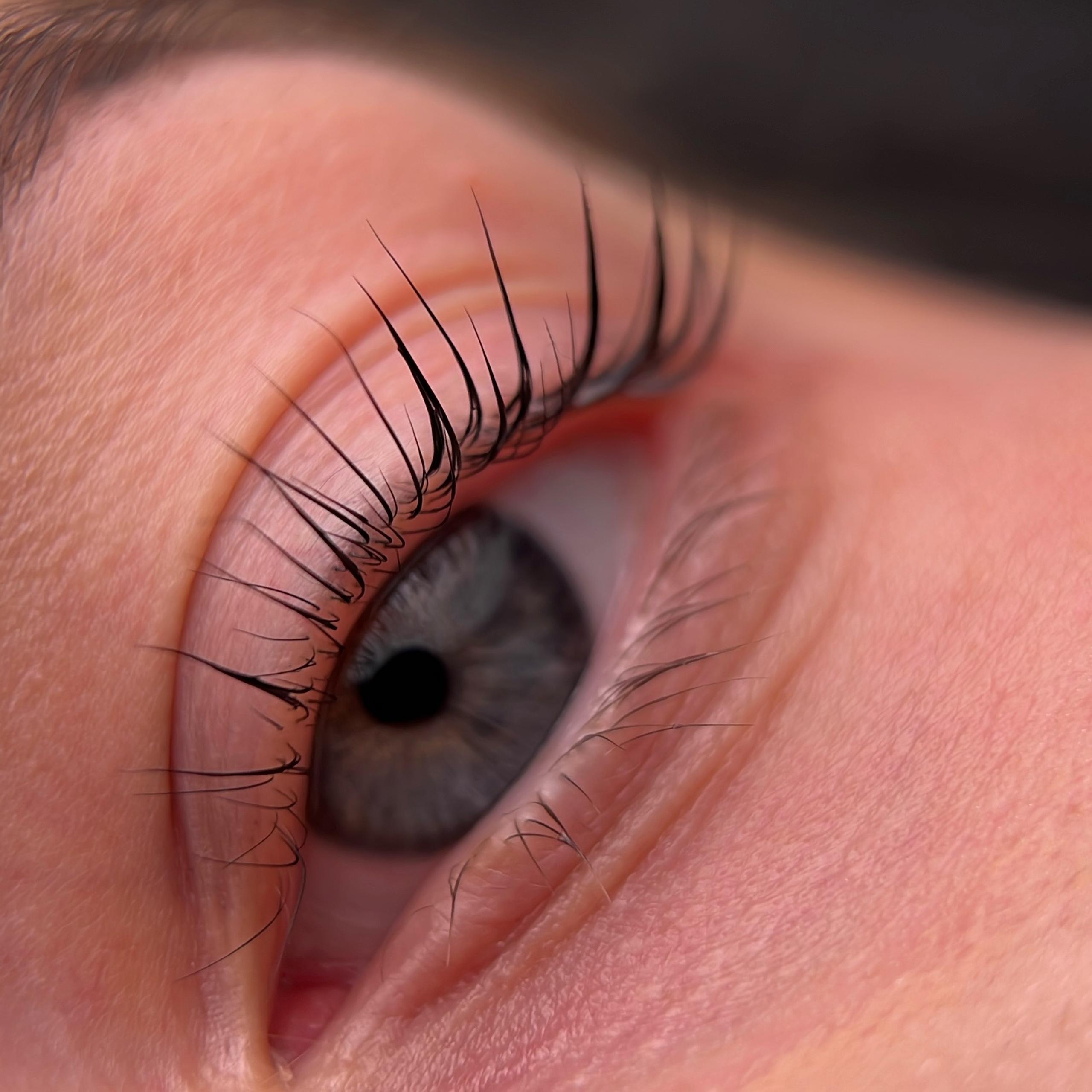 Close-up of a person's two blue-grey eye and brown eyebrows.