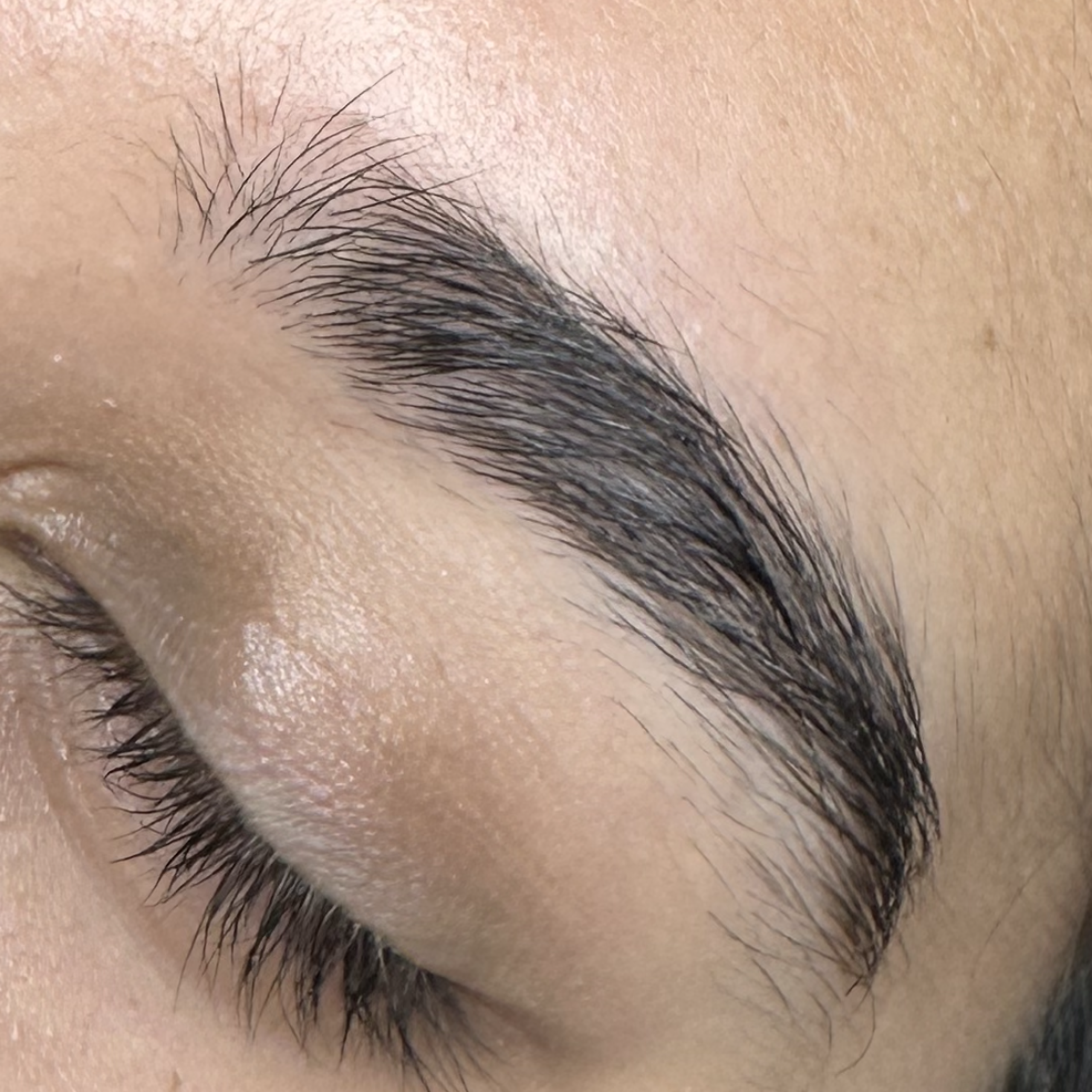 Close-up of a closed eye with a thick dark eyebrow.