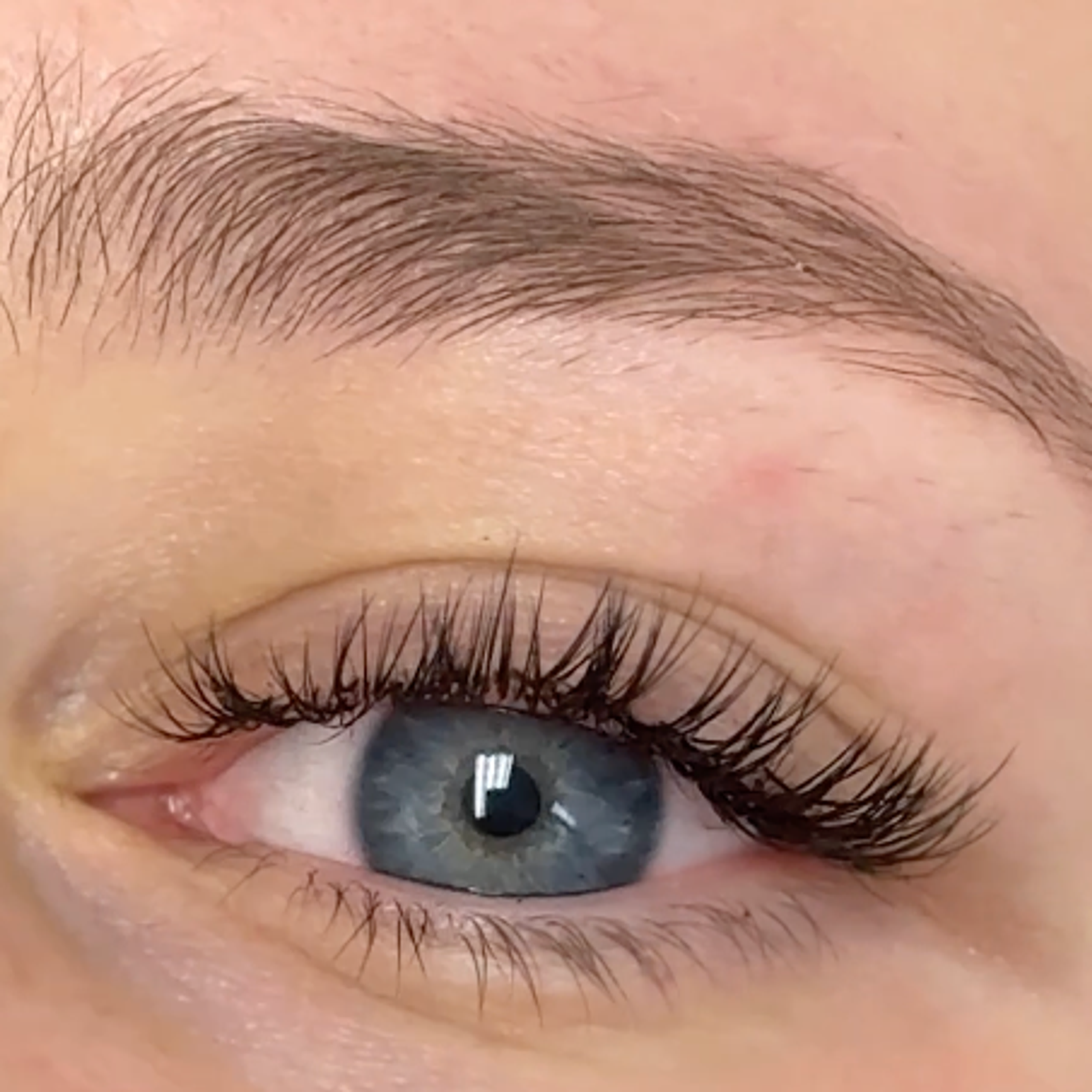 Close-up of a blue eye with full, long, dark eyelash extensions