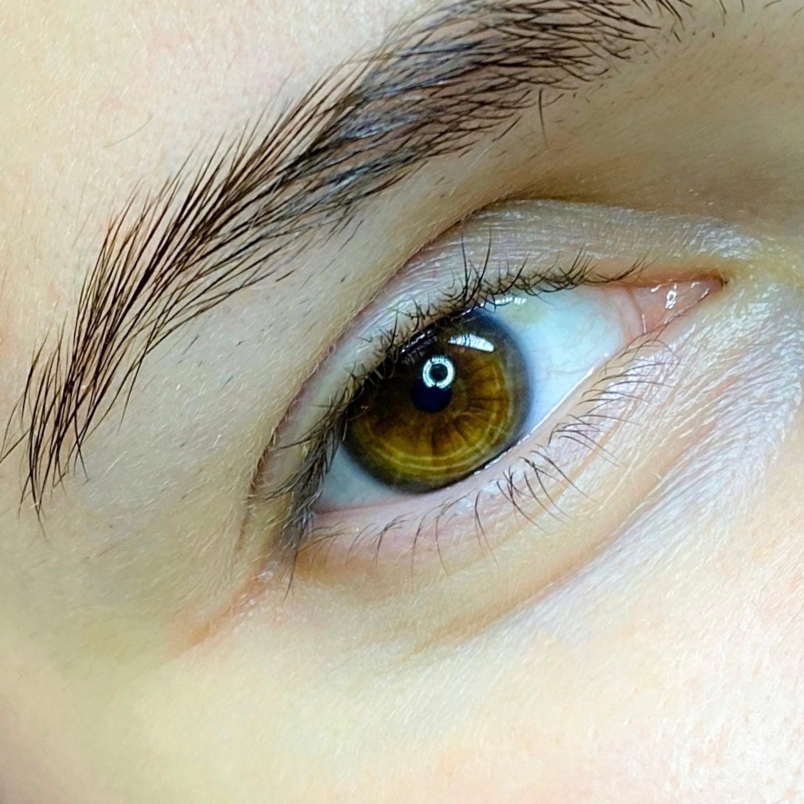 Close-up of a brown eye with a dark, shaped eyebrow.