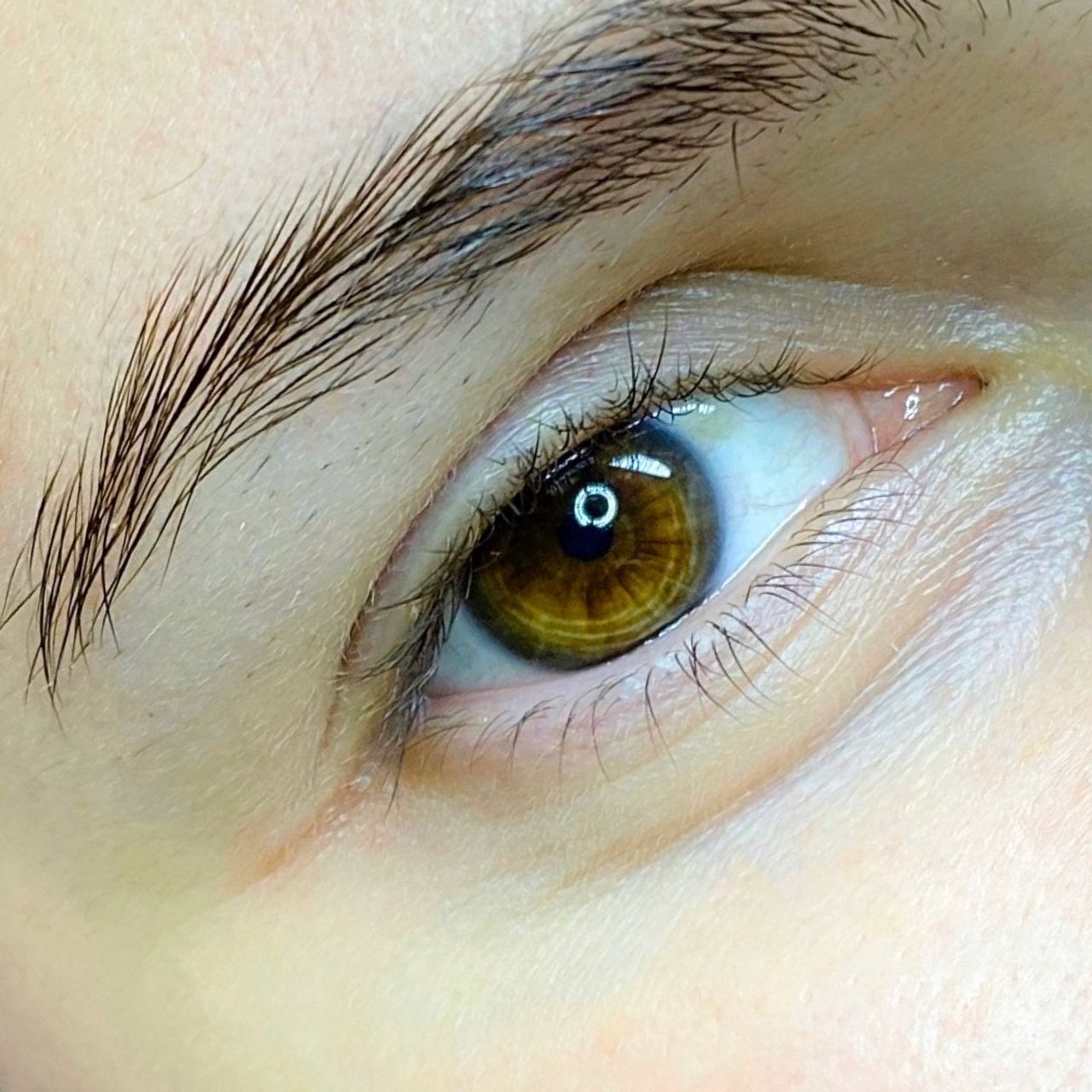 Close-up of a brown eye with a dark, shaped eyebrow.