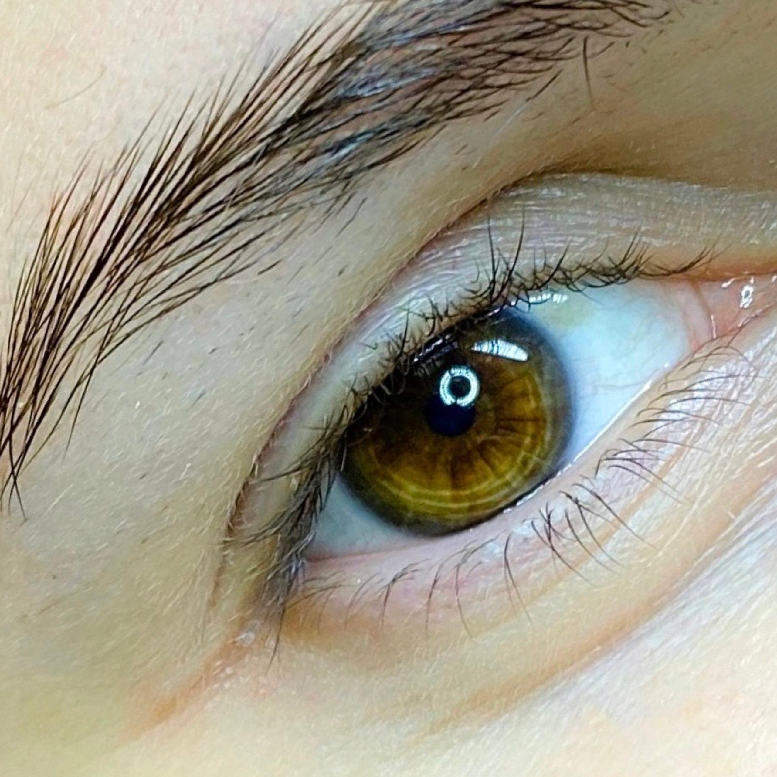 Close-up of a brown eye with a dark, shaped eyebrow.