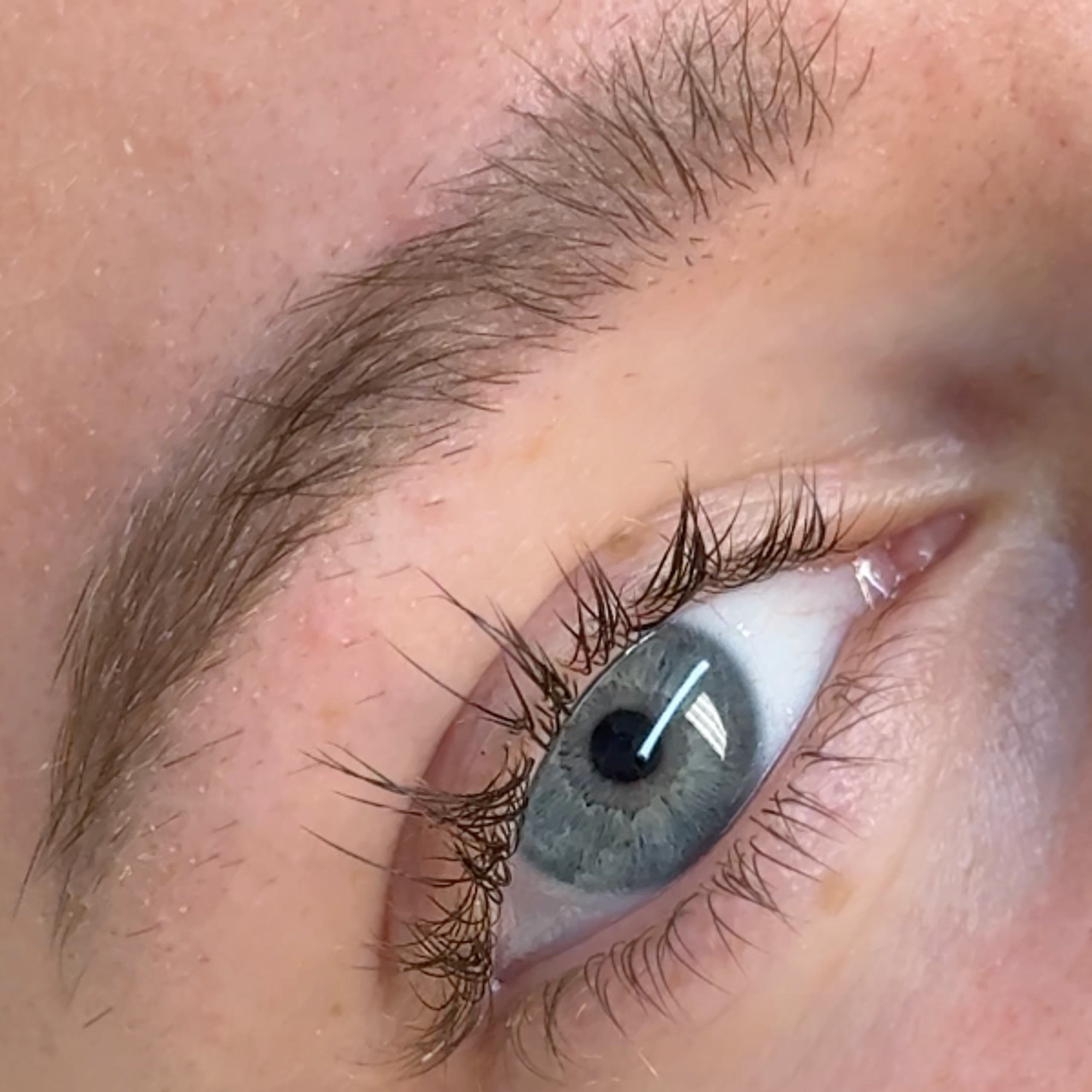 Close-up of a light blue eye with natural looking eyelashes and a natural eyebrow.