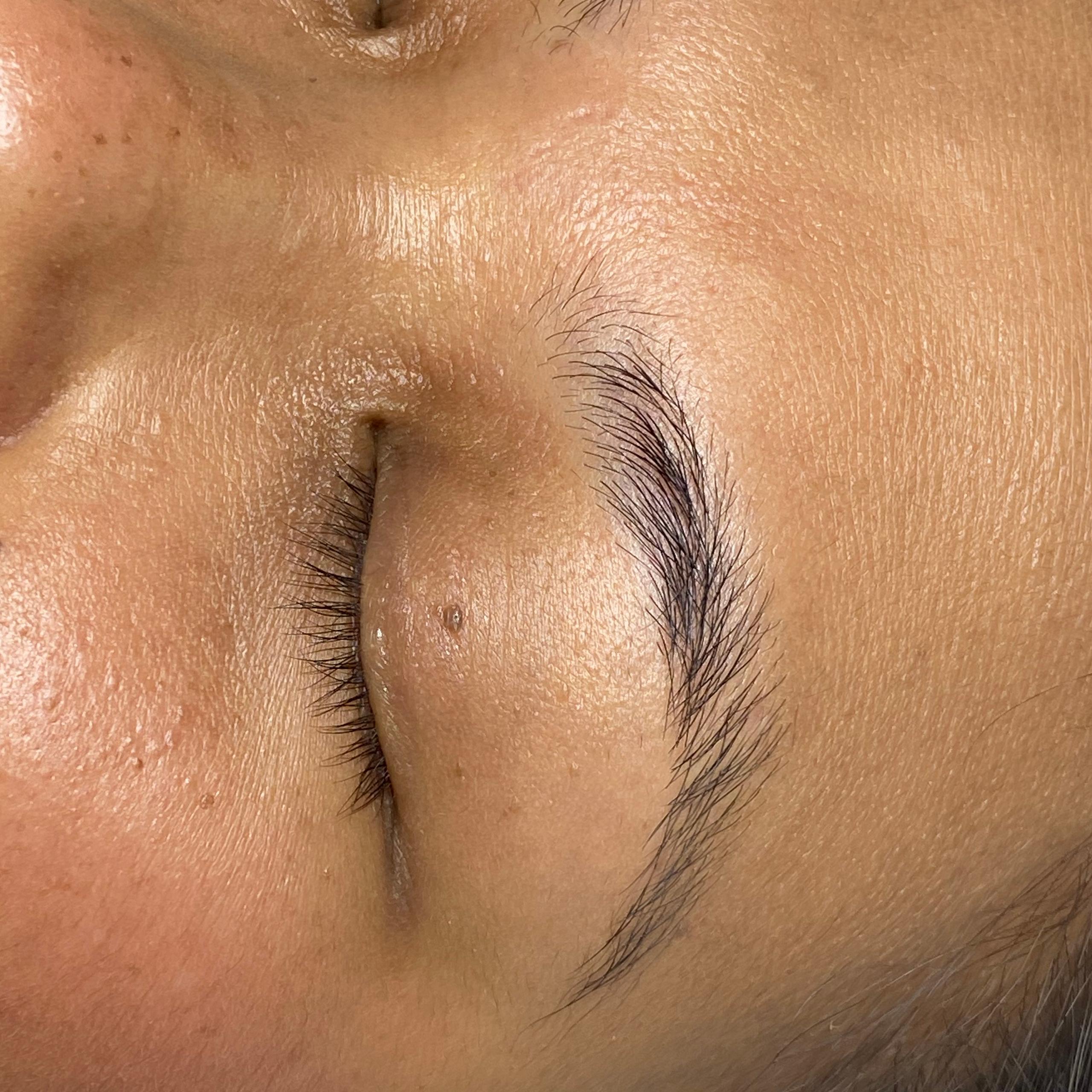 Client's eyebrows before brow lamination at Beauty Republic