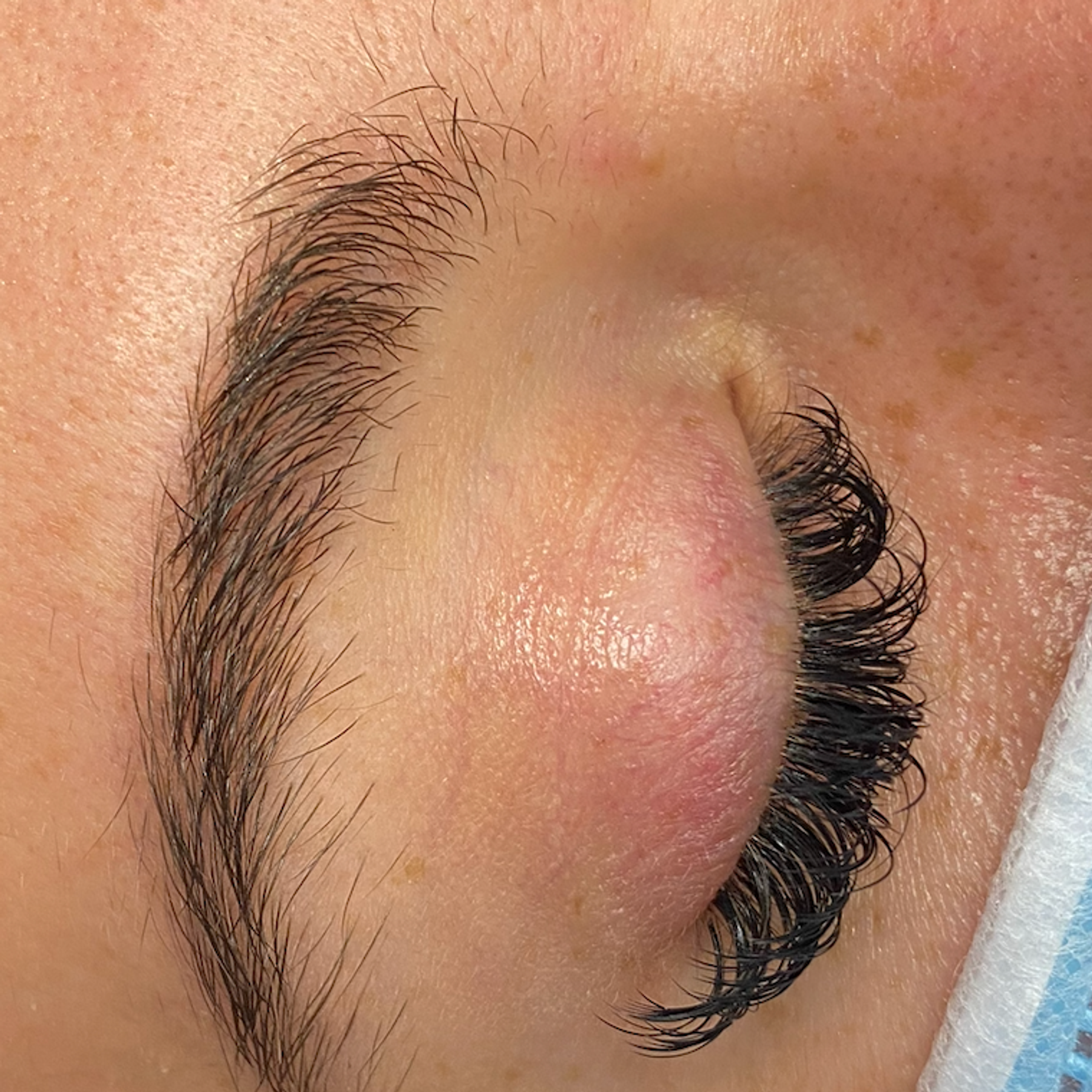 Close-up of closed eyes and unbrushed eyebrows
