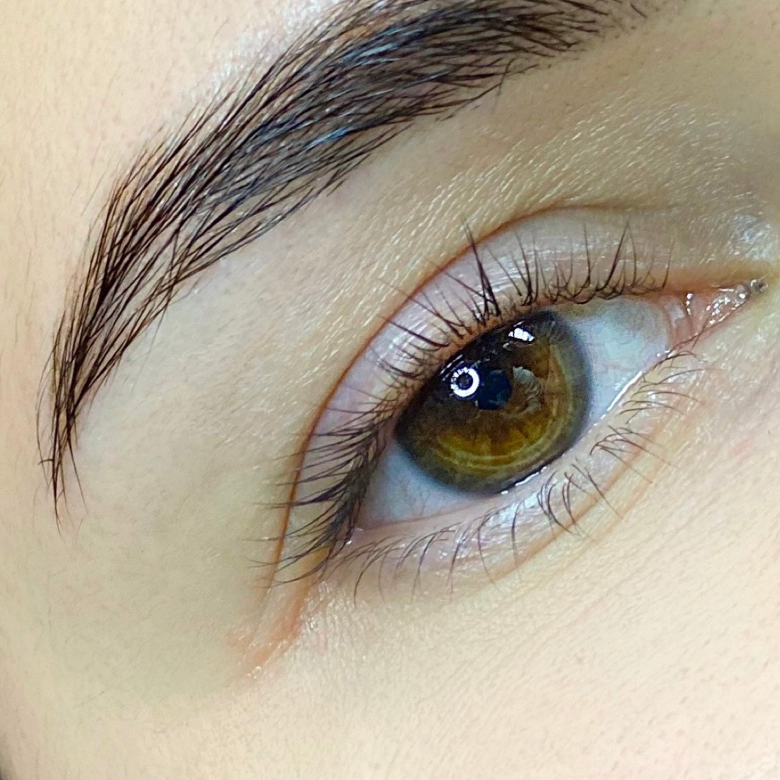 Close-up of a brown eye with a sculpted eyebrow and long eyelashes.