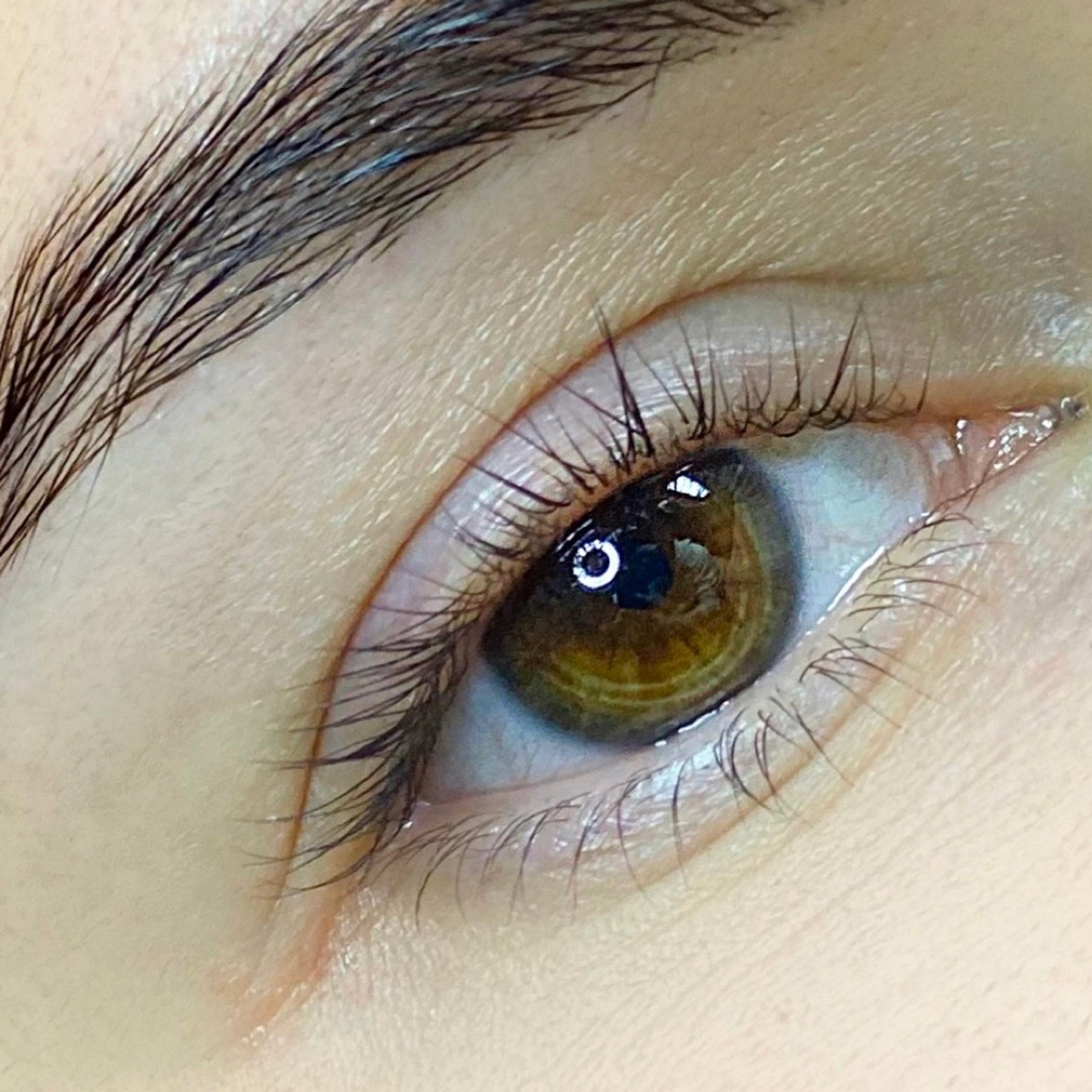 Close-up of a brown eye with a sculpted eyebrow and long eyelashes.