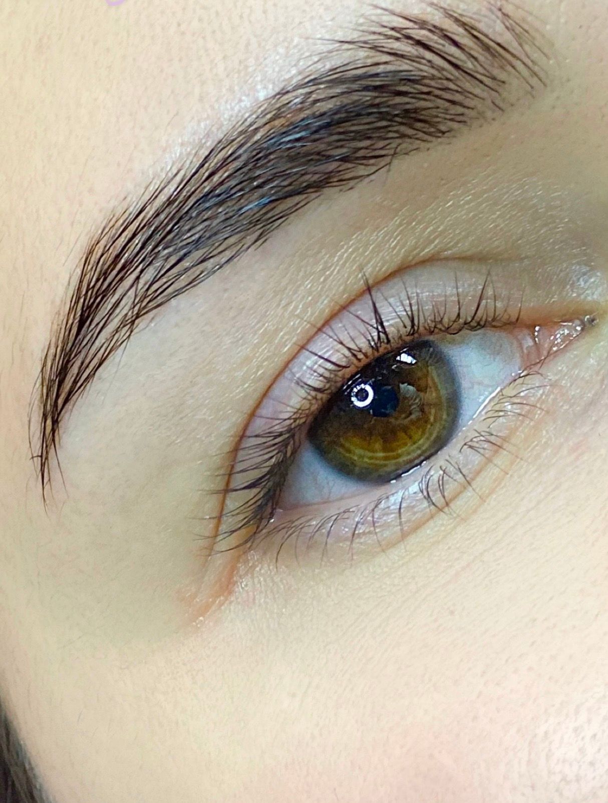Close-up of an upward-brushed eyebrow and a brown eye with long lashes.