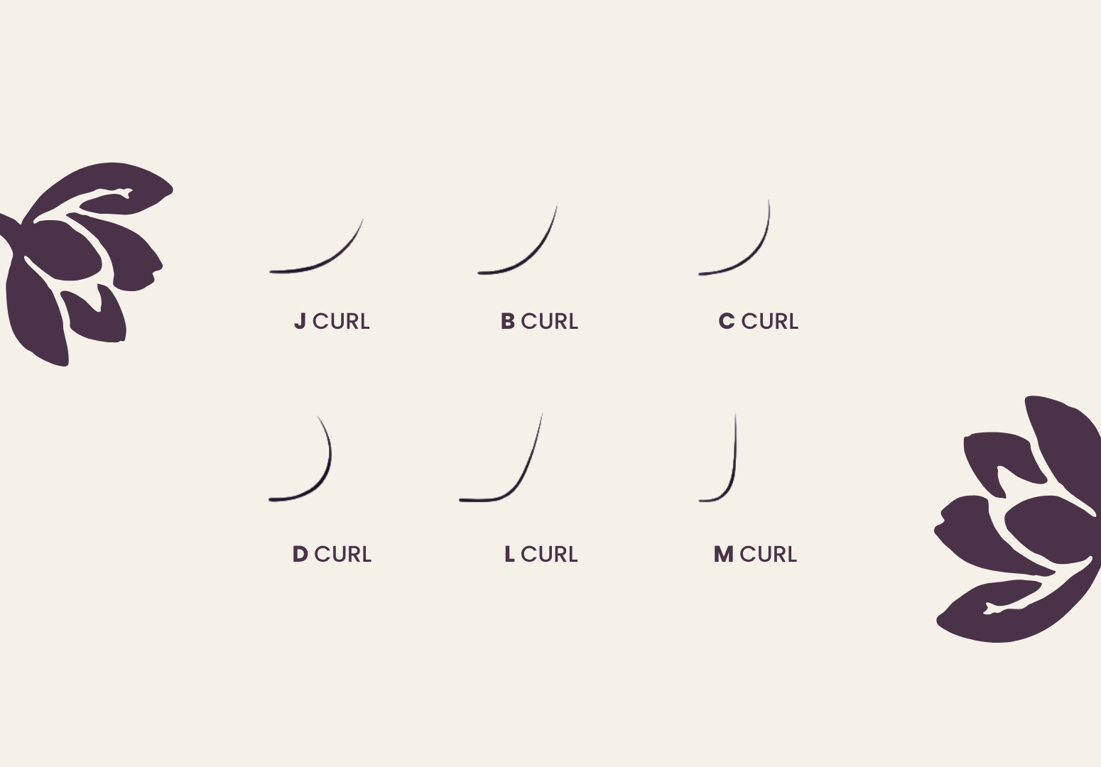 types of eyelash extension lines and flowers