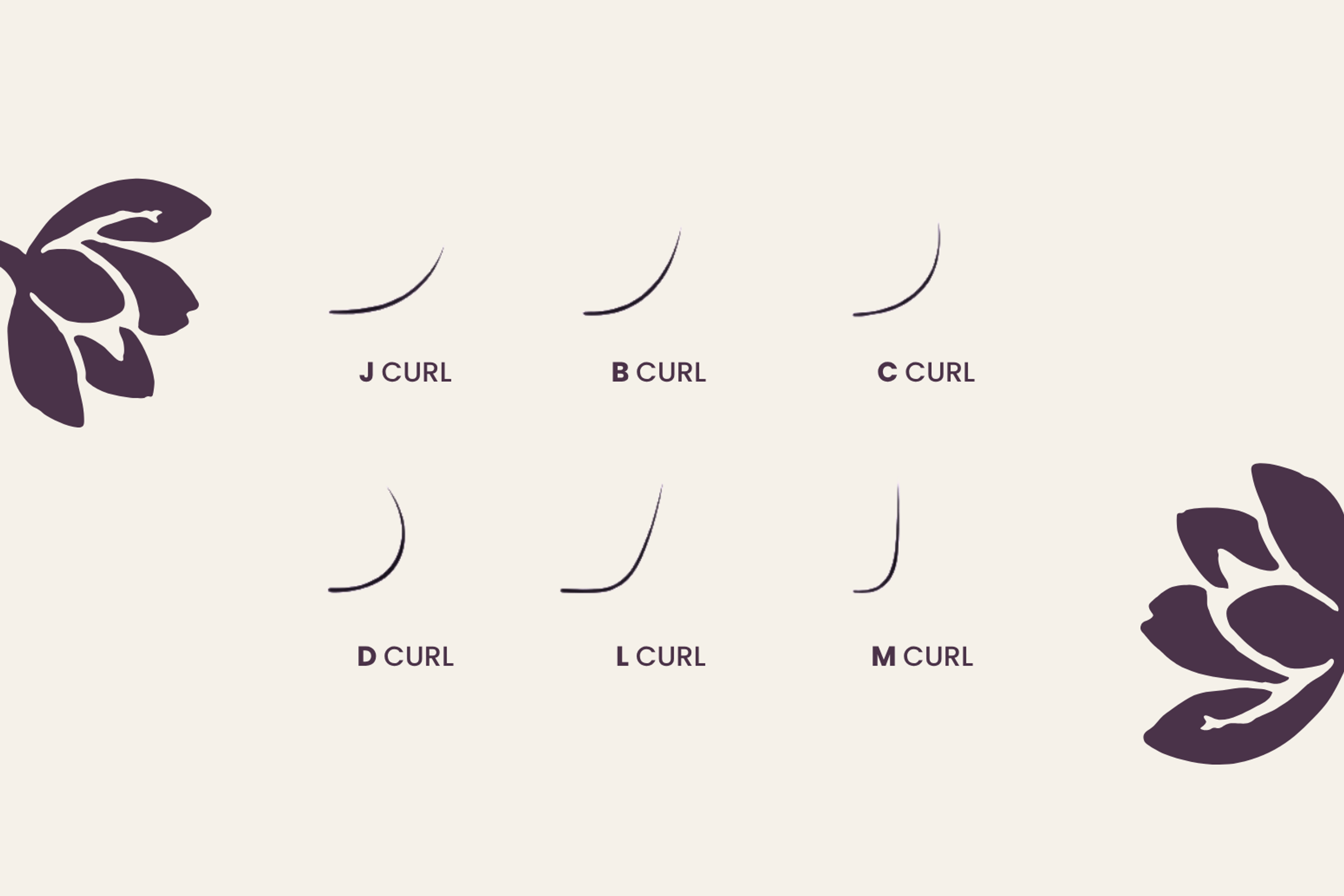 types of eyelash extension lines and flowers