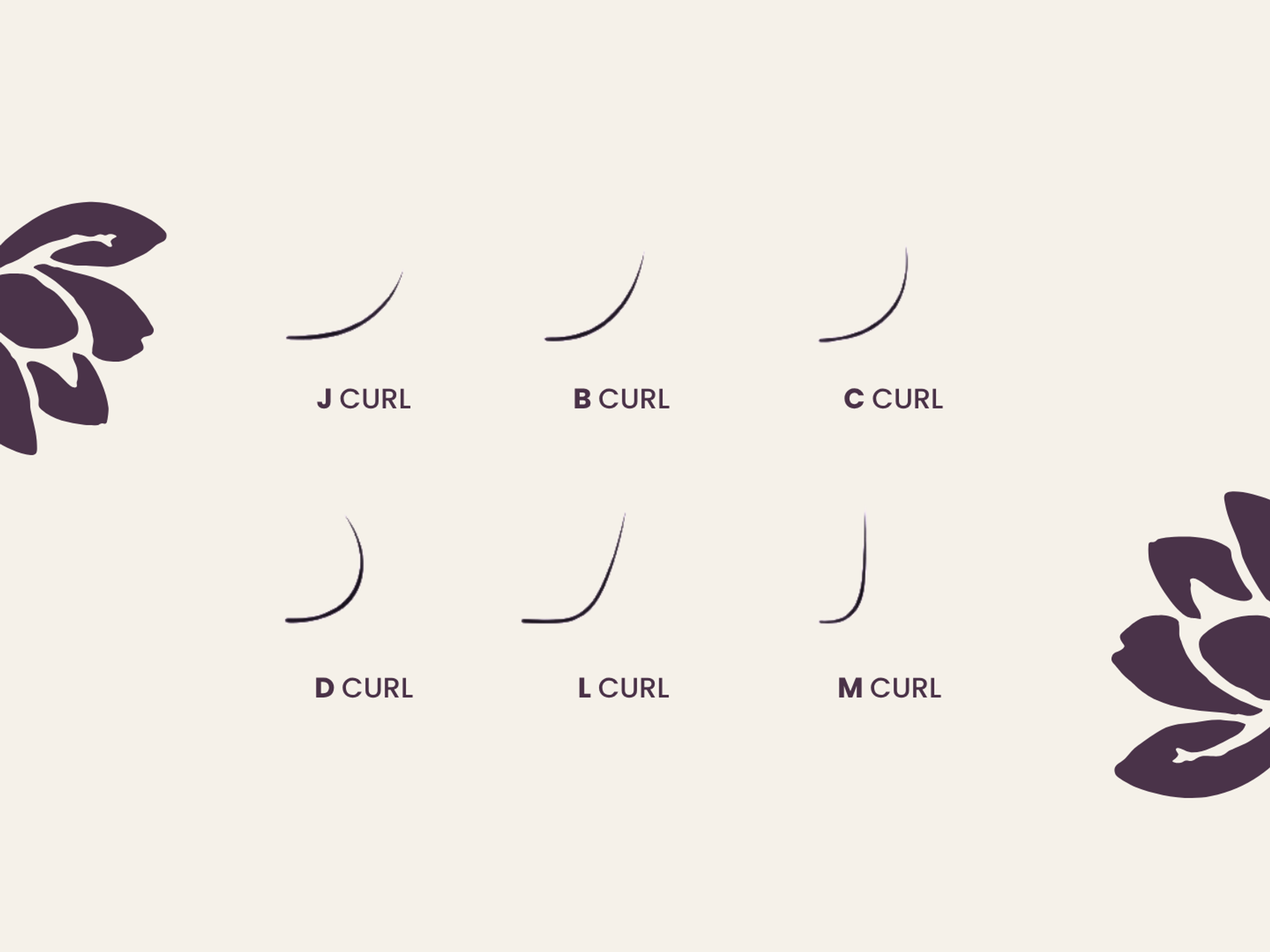 types of eyelash extension lines and flowers