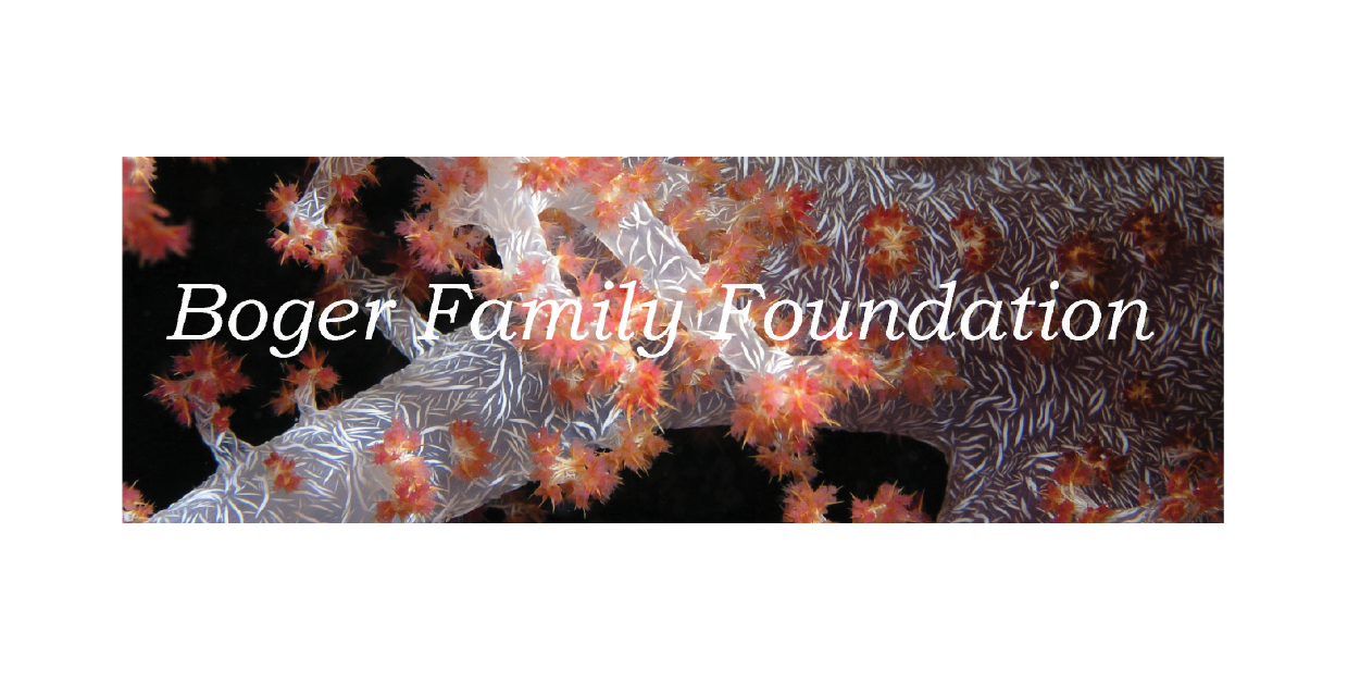 Boger Family Foundation