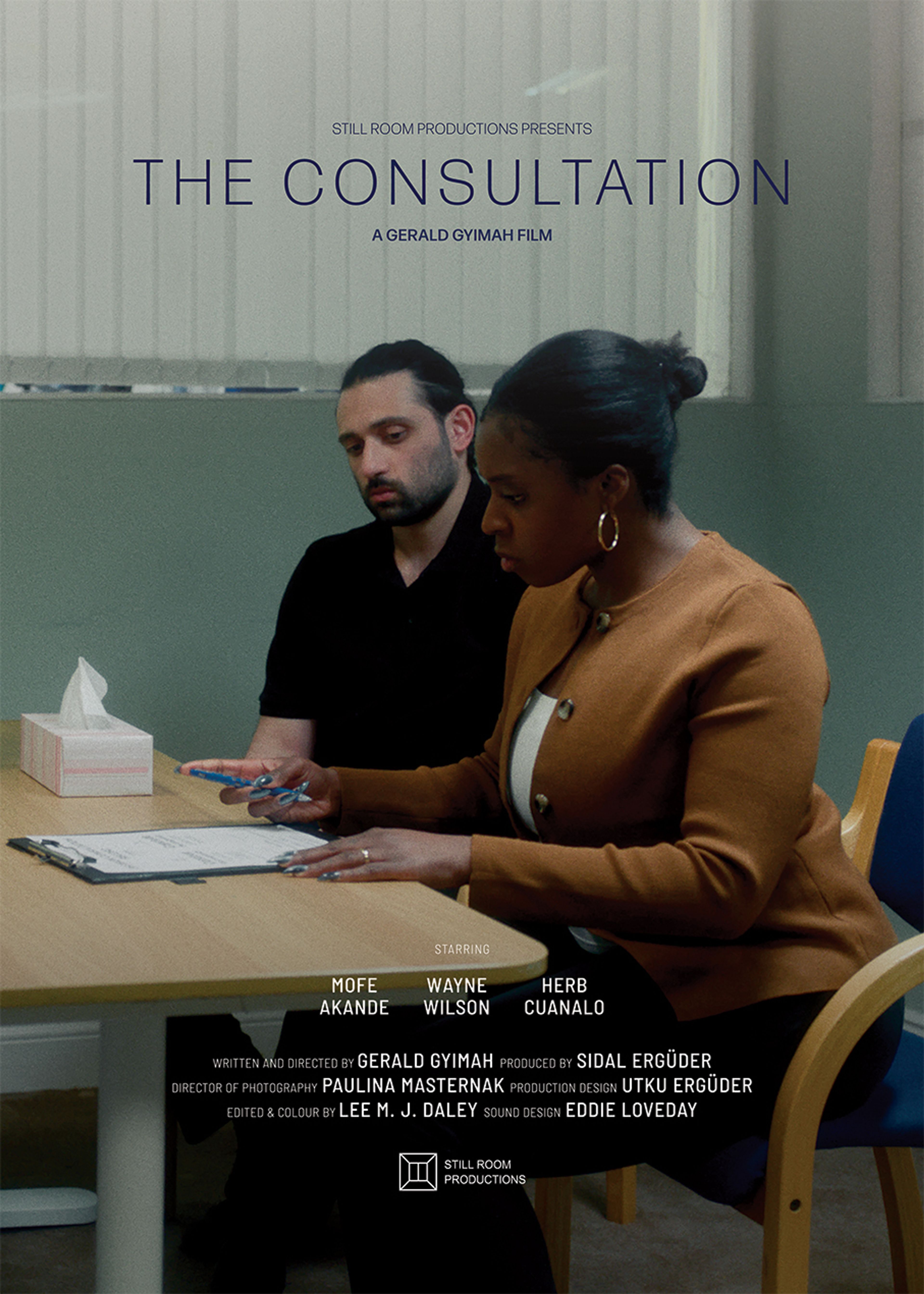 The Consultation — poster