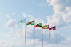 Due Diligence Background Check In Caribbean Citizenship By Investment Due Diligence Background Check In Caribbean Citizenship By Investment