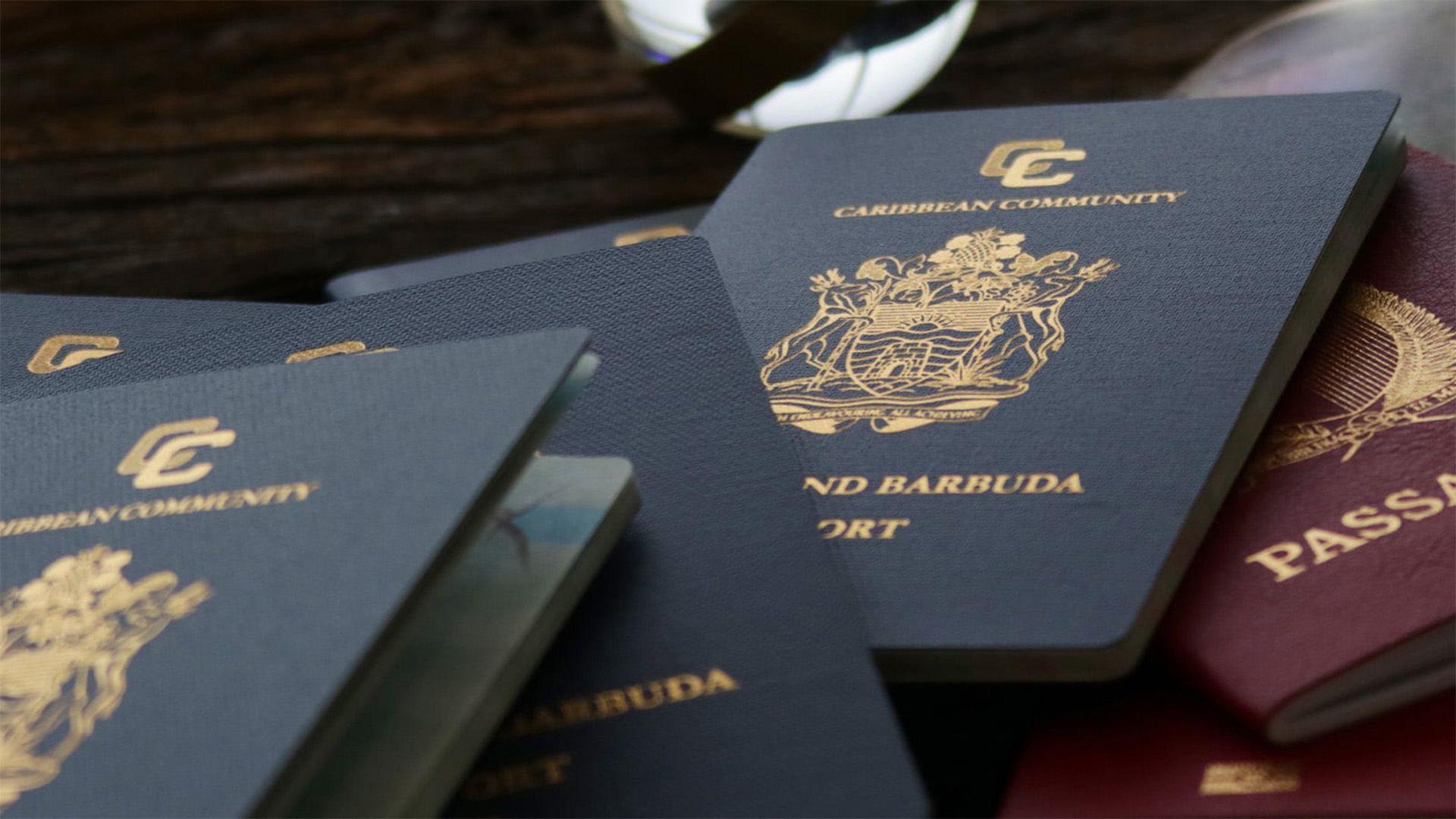 Caribbean Community Passport | Savory & Partners