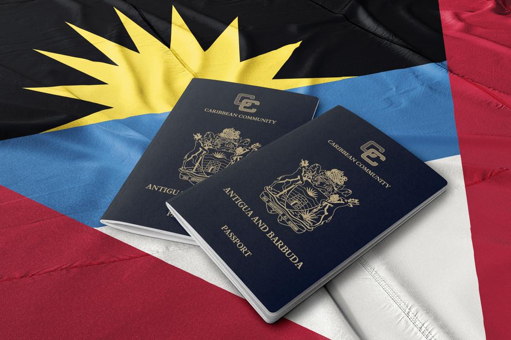 Advantages And Disadvantages Of Dual Citizenship Advantages And Disadvantages Of Dual Citizenship