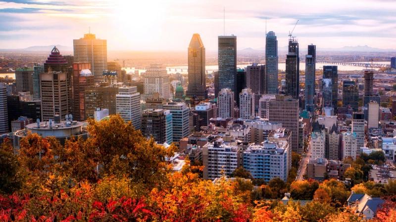 Bridging International Business and Canada Intra Company Transferee Visa | Savory & Partners Bridging International Business and Canada Intra Company Transferee Visa | Savory & Partners