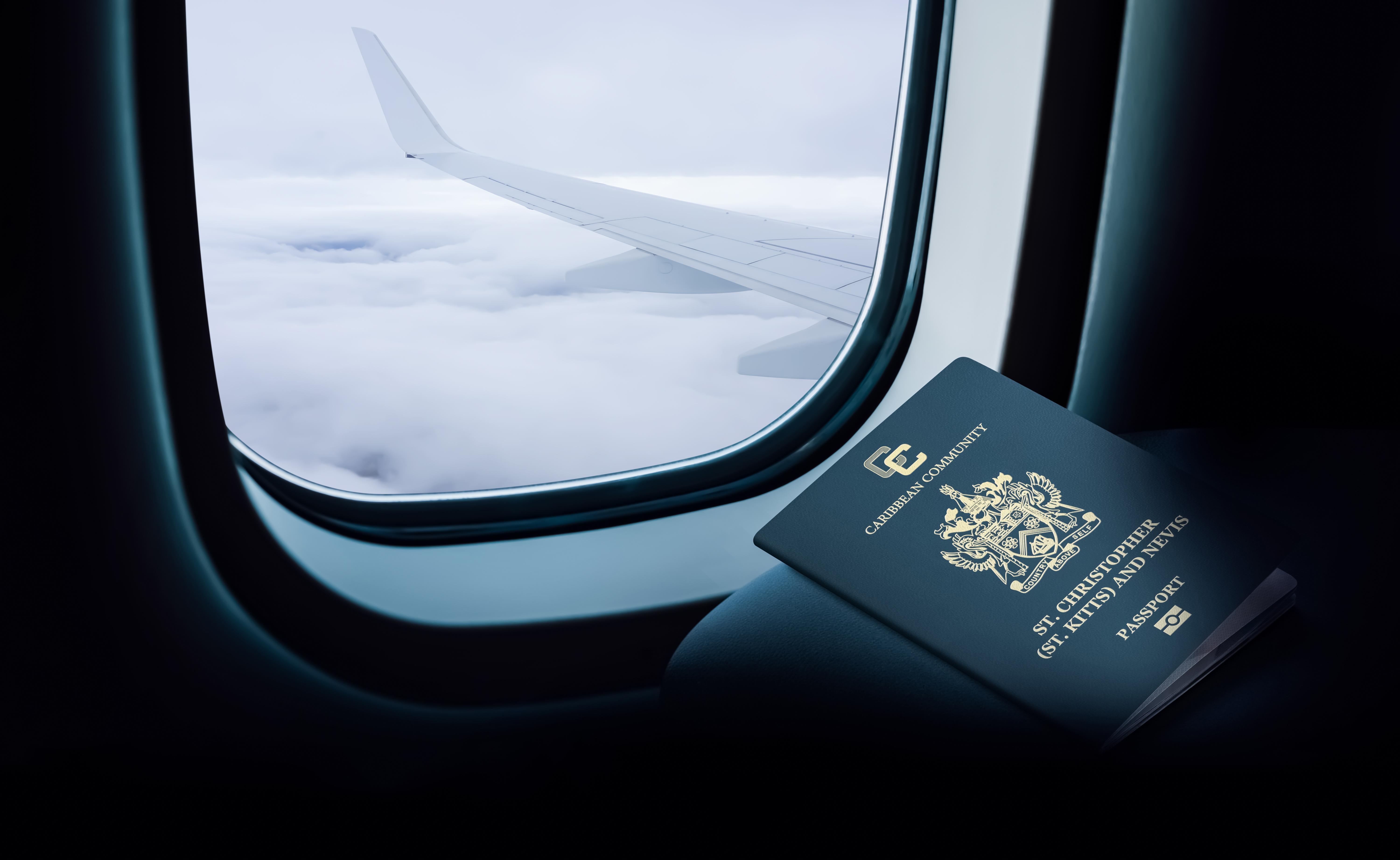 In-Flight View with Passport | Savory & Partners In-Flight View with Passport | Savory & Partners