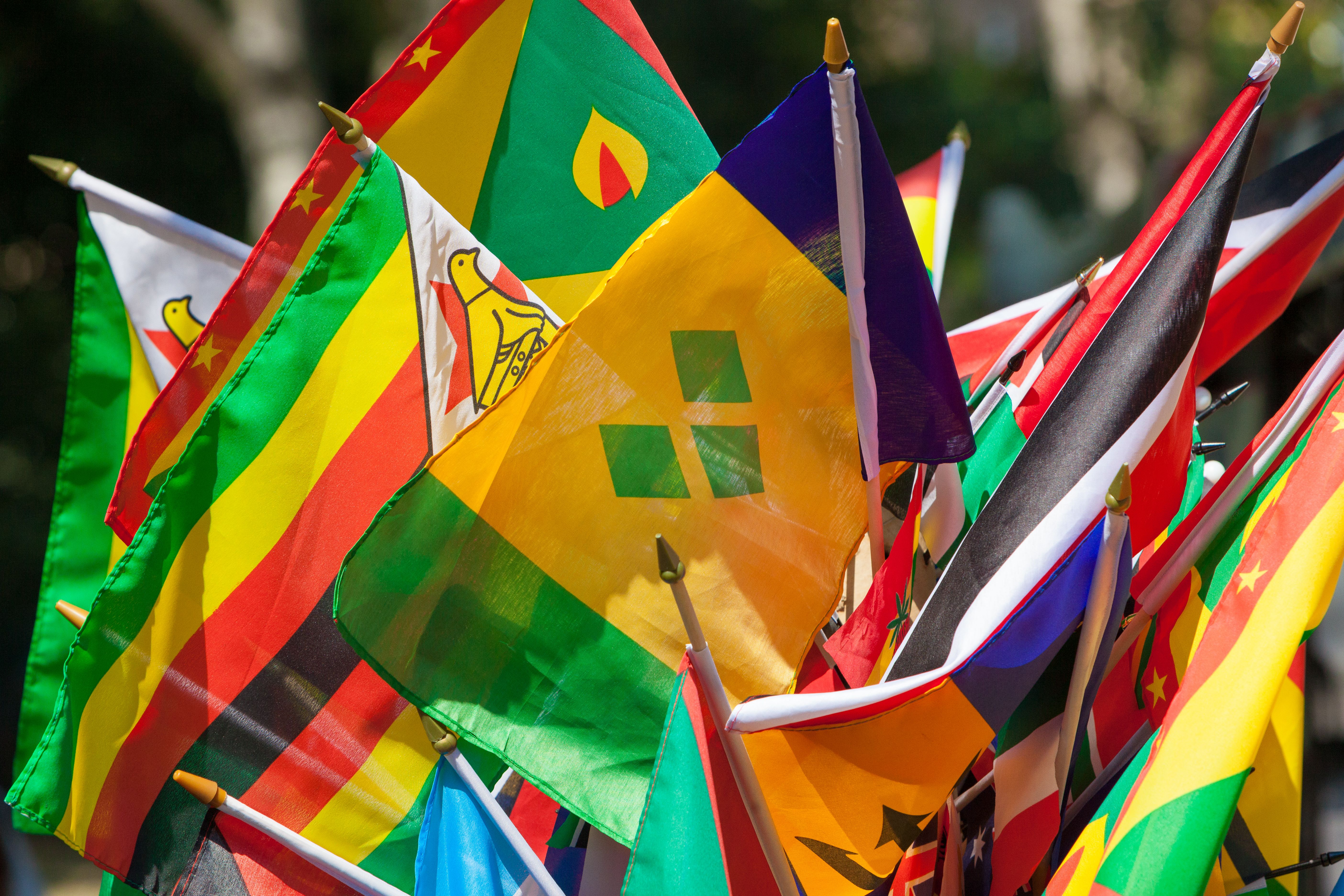 Flags of Various Nations | Savory & Partners