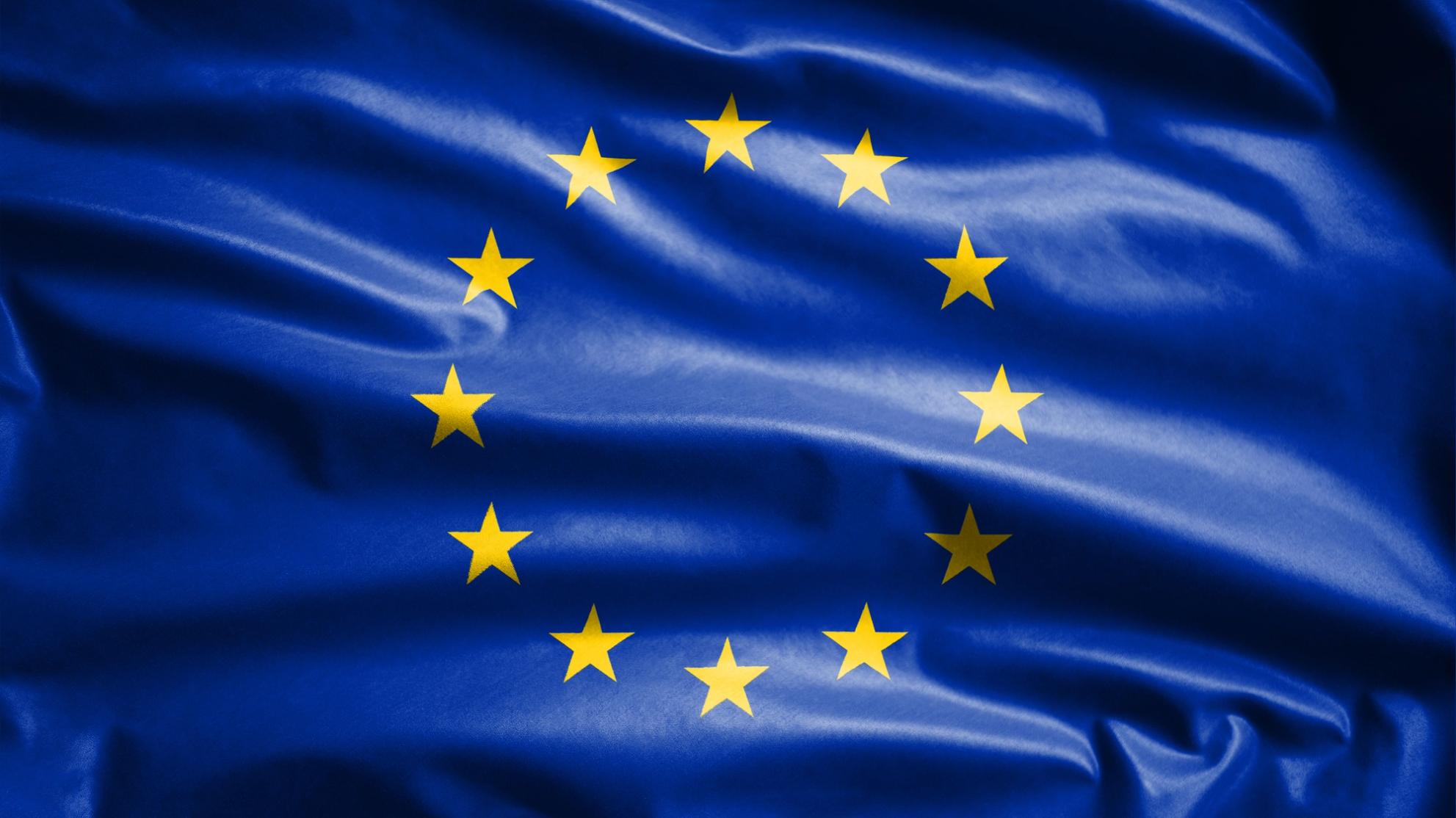 European Union Flag | Savory & Partners European Union Flag | Savory & Partners