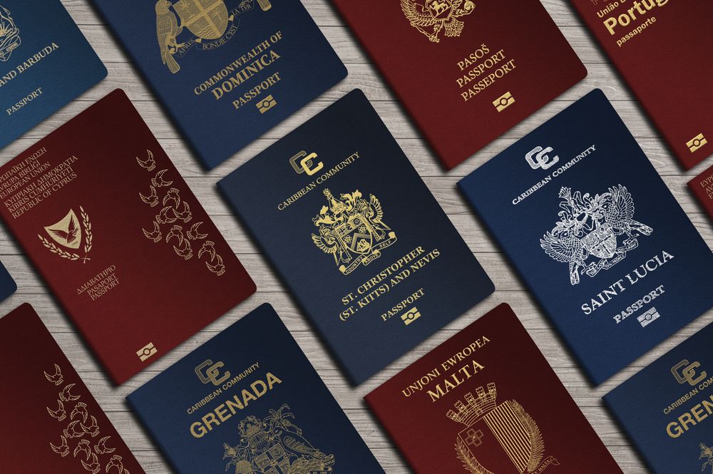 Advantages And Disadvantages Of Dual Citizenship