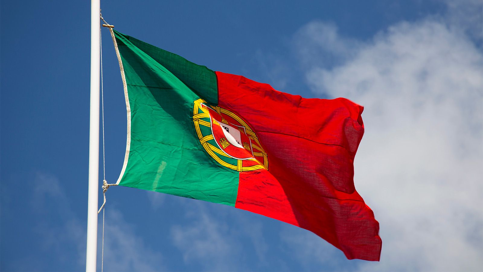 Business Migration - A Closer Look at Portugal’s D2 Visa | Savory & Partners