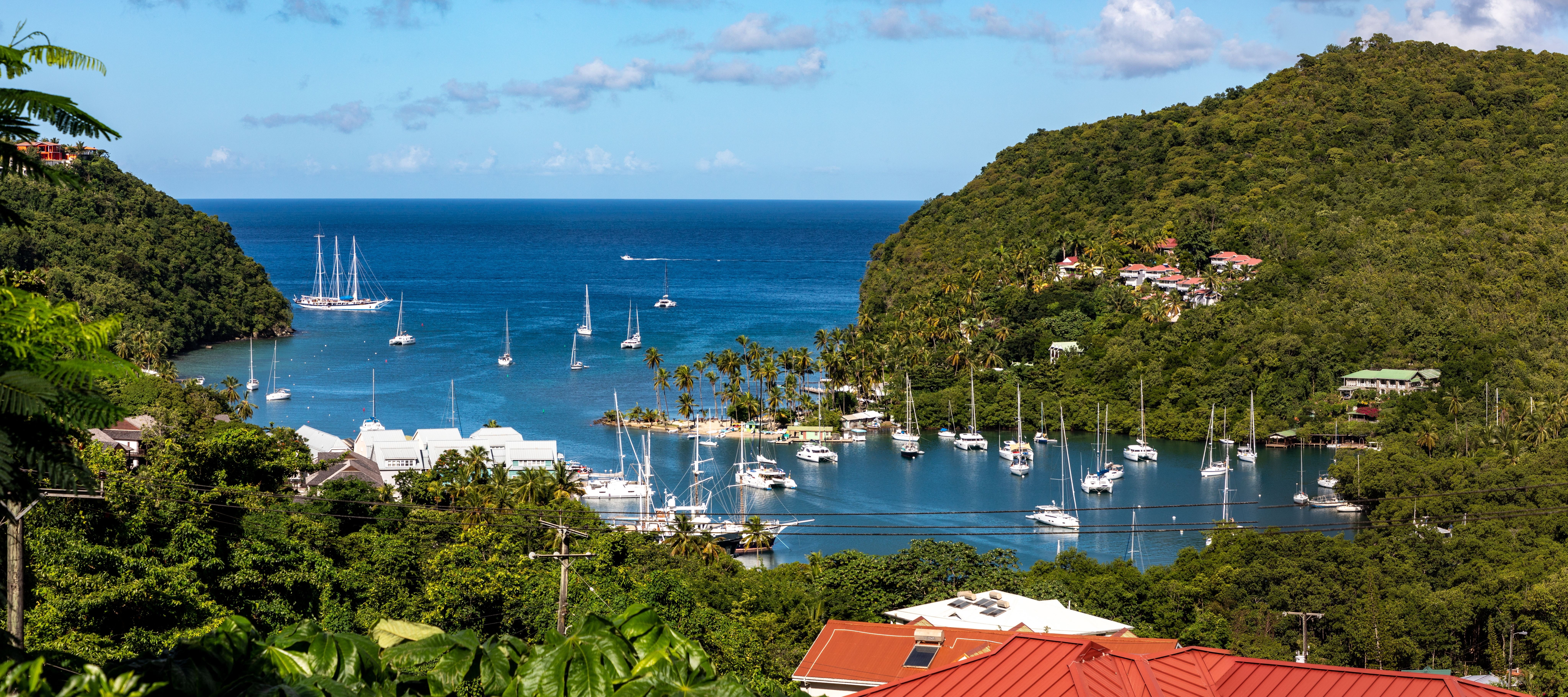 Saint Lucia CIP Applications received are increased by 85%