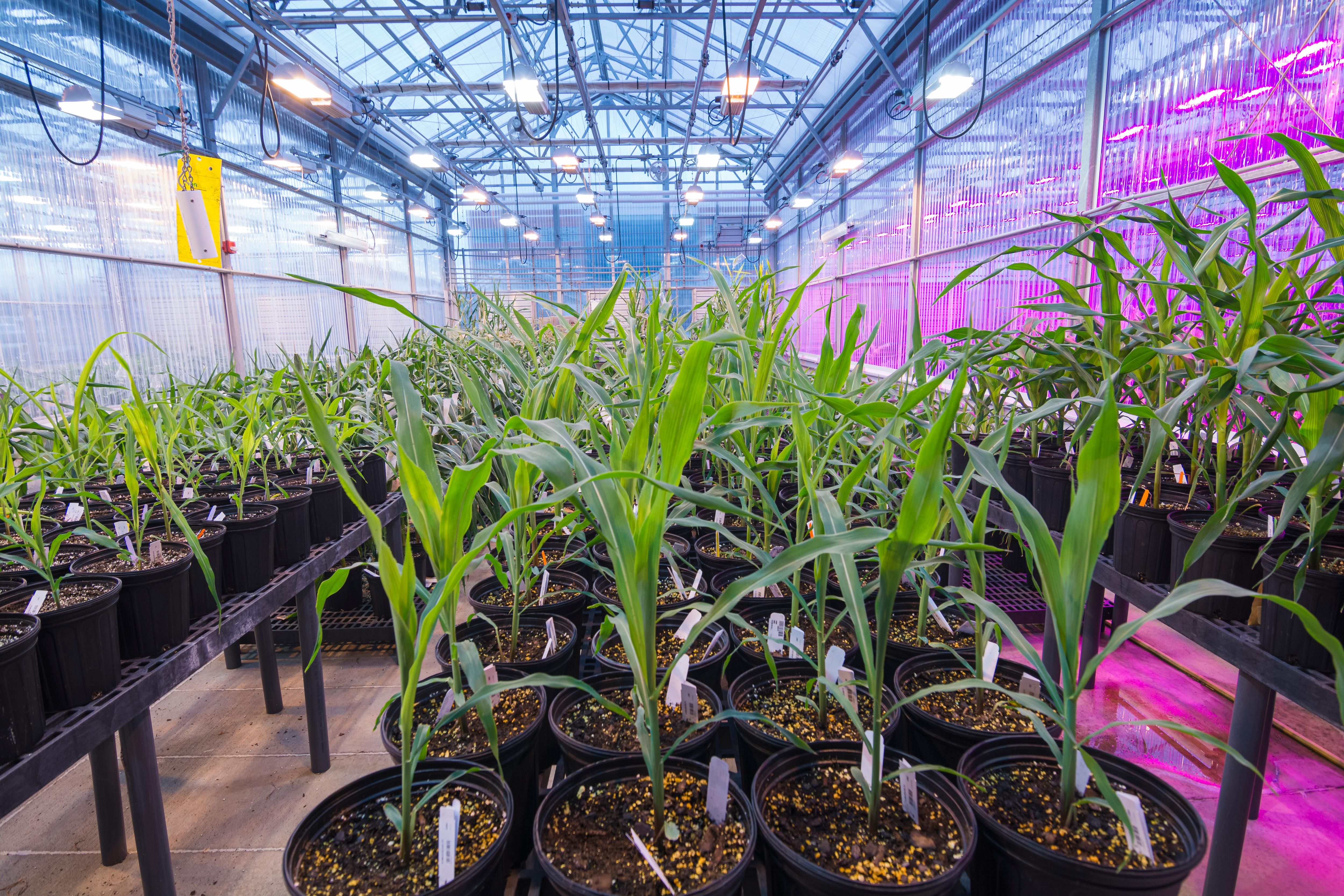 Agricultural Technology in Action | Savory & Partners Agricultural Technology in Action | Savory & Partners
