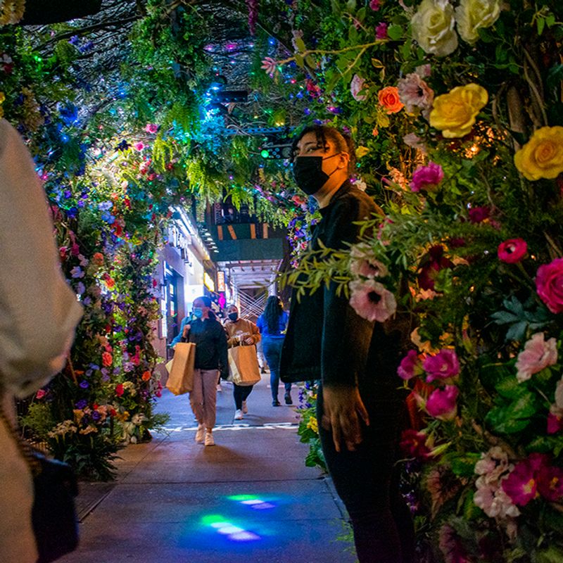 Flowerland in K Town  Flowerland in K Town