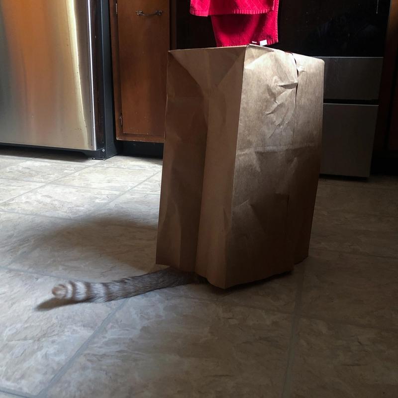 Bag with Tail