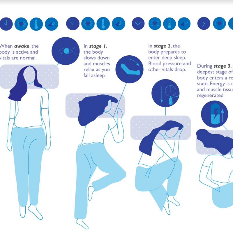 Science of sleep: infographic Science of sleep: infographic