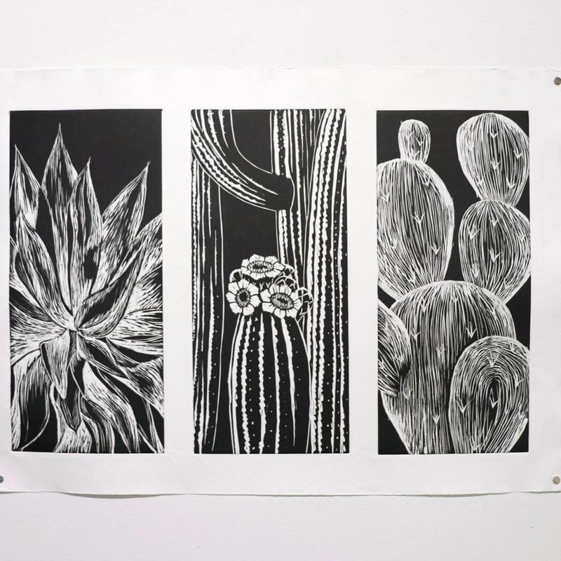 Agave, Saguaro, Prickly Pear Agave, Saguaro, Prickly Pear