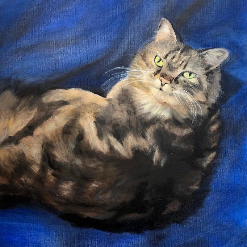 Cat Cat