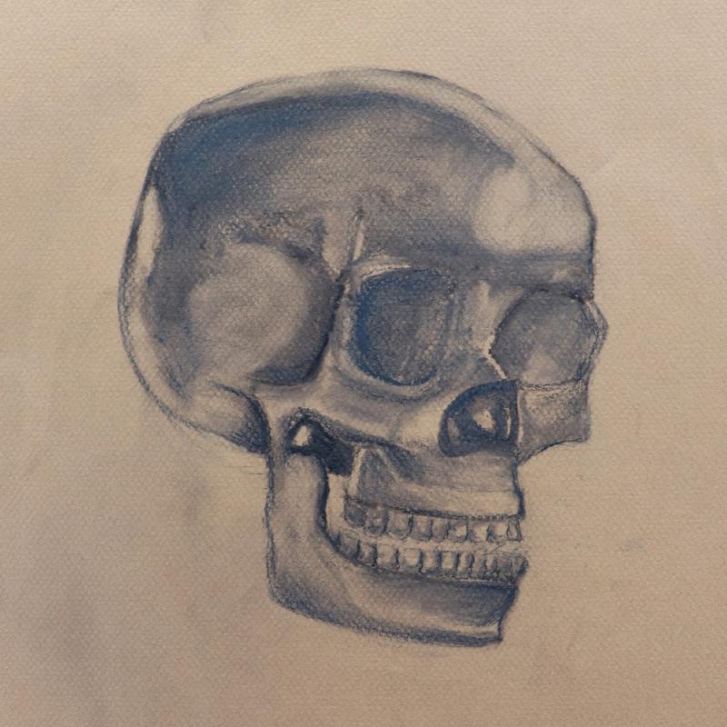 Skull Skull