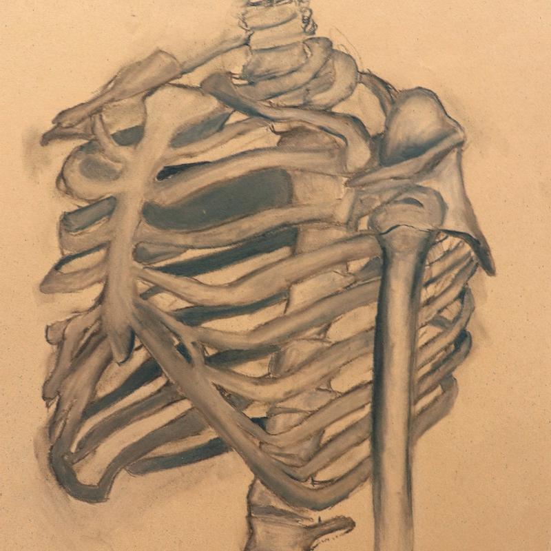 Skeleton Skeleton