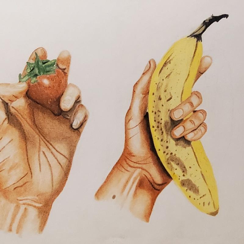 Hands Holding Objects