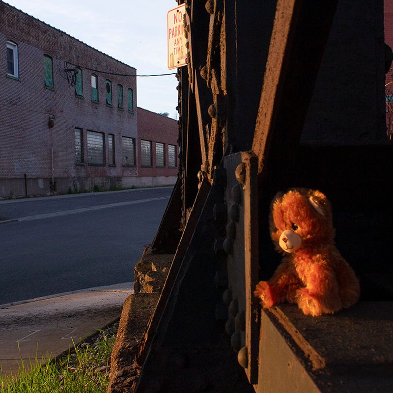 Bear in hot light Bear in hot light
