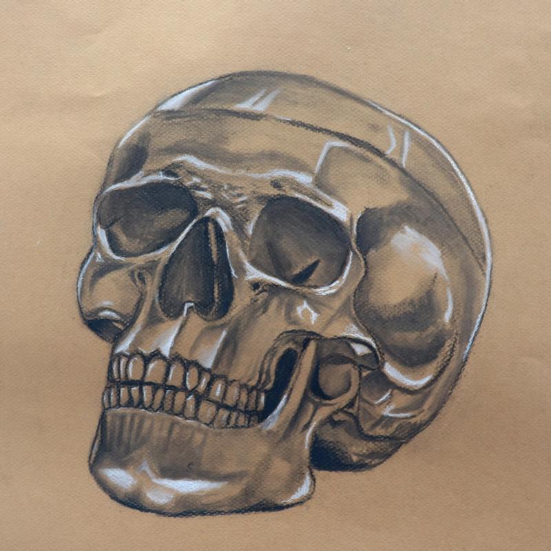 Skull Skull