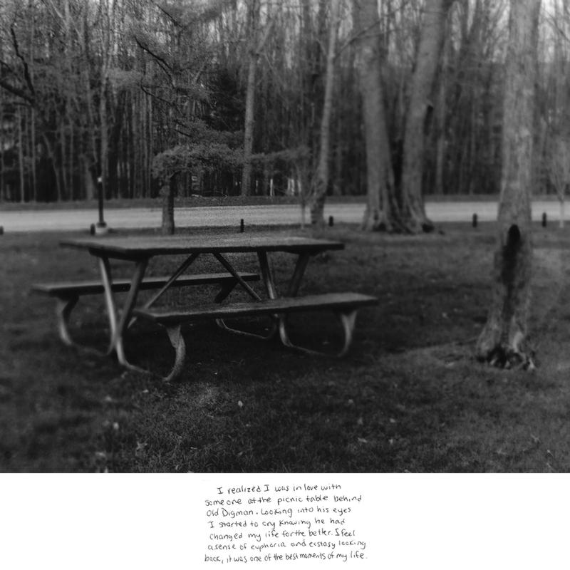 "The Picnic Table"