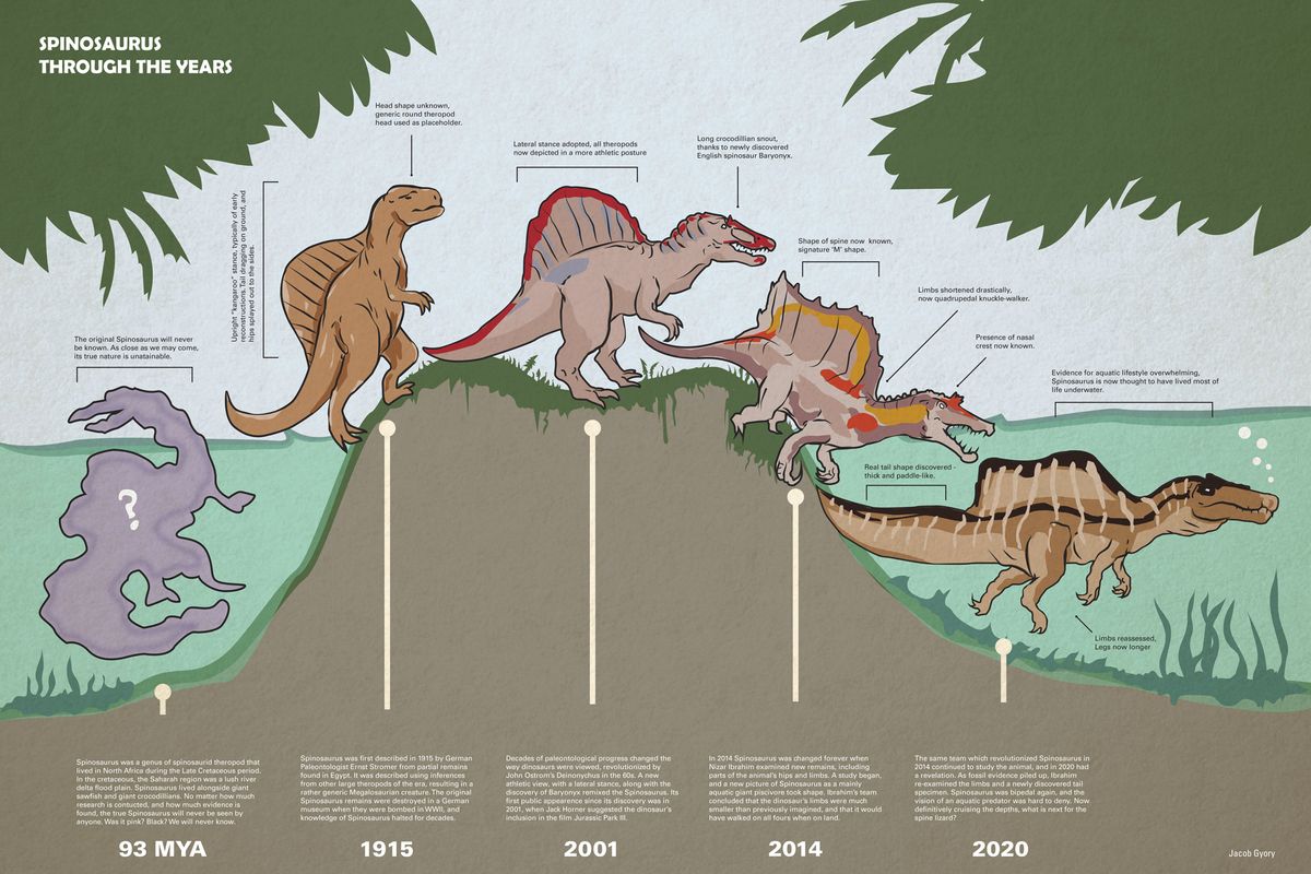 Spinosaurus Through the Ages