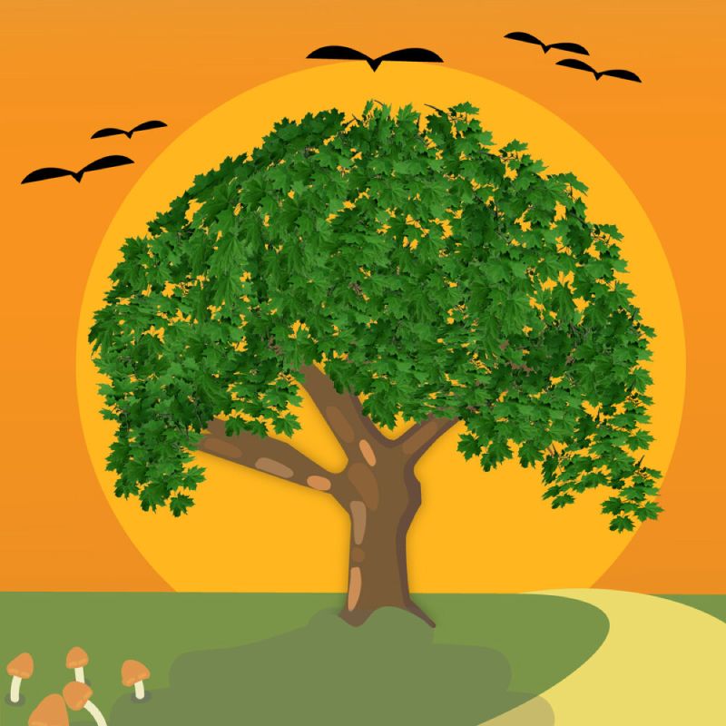 How Posters Work - A Deconstruction How Posters Work - A Deconstruction