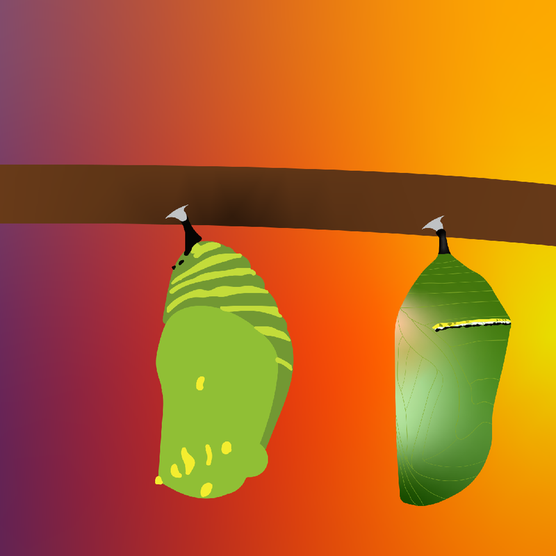 Zine: Monarch Migration Zine: Monarch Migration