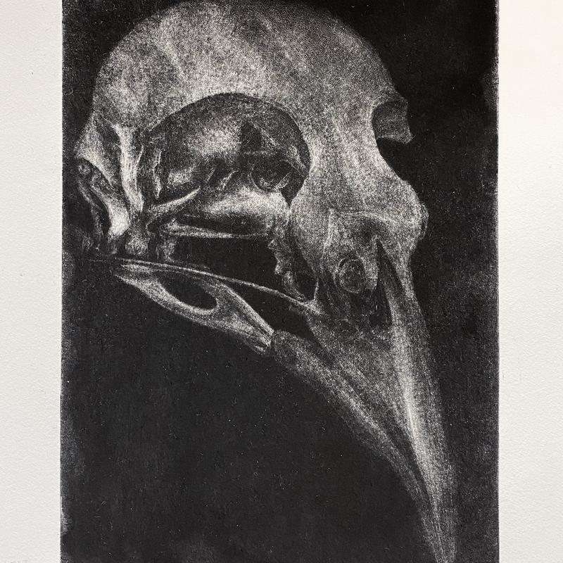 Specimen 9 Specimen 9