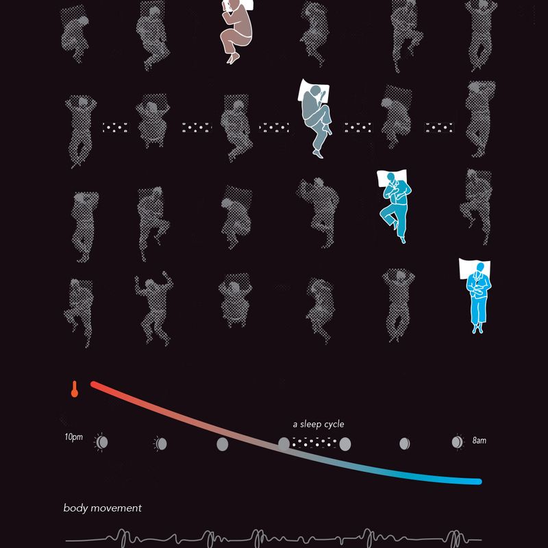 Science of sleep: infographic Science of sleep: infographic