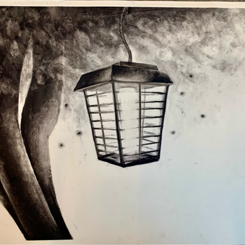 The Anti- Crowd  The Anti- Crowd