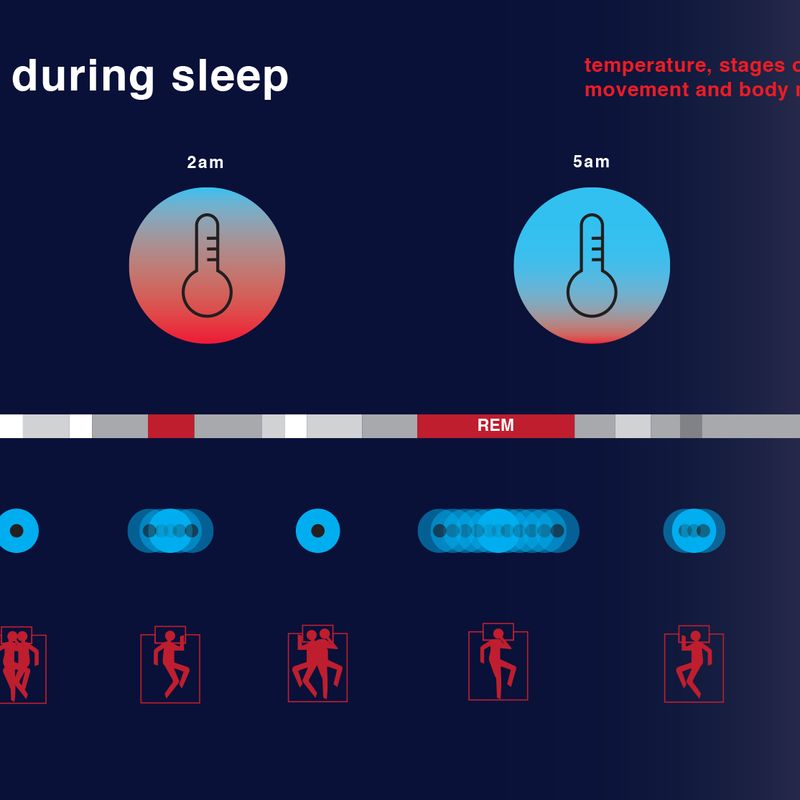 Science of sleep: infographic Science of sleep: infographic