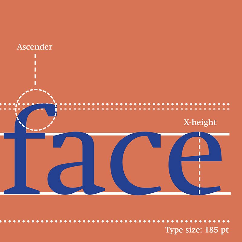 Swift Type Specimen Swift Type Specimen