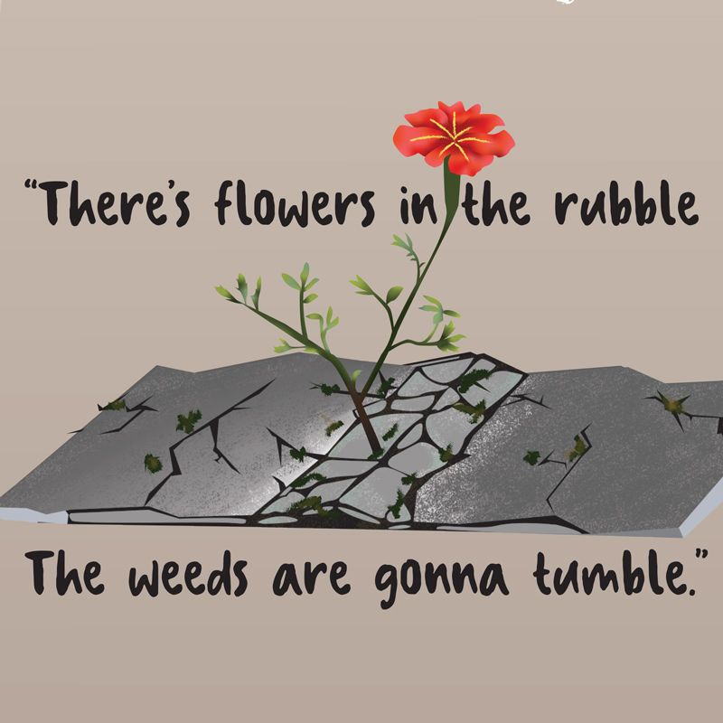 Phoebe Bridgers Discography Timeline Phoebe Bridgers Discography Timeline