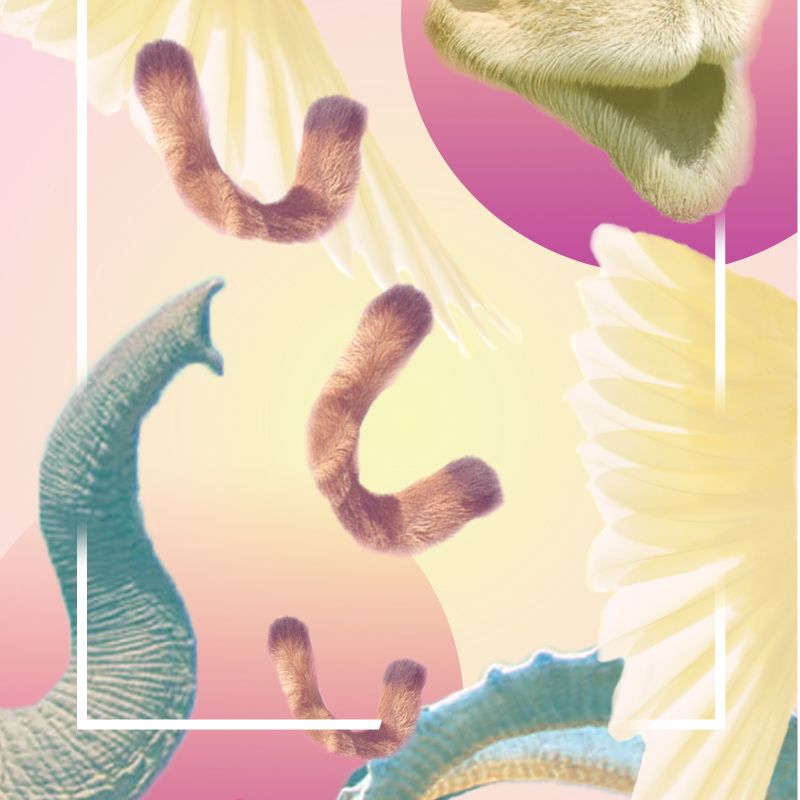 Visualization Posters Visualization Posters